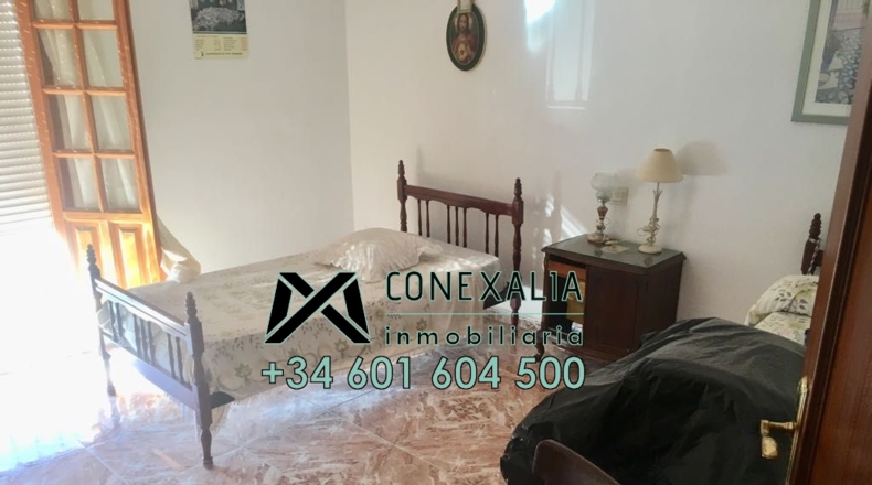 Cádiz - Torre Alháquime - 300m2