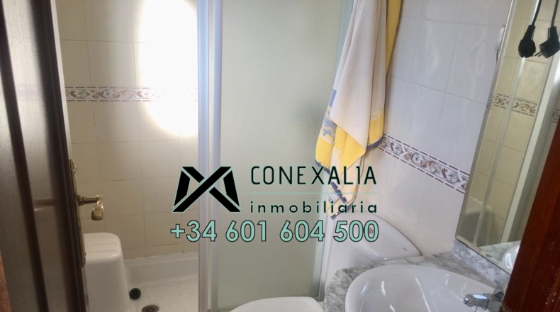 Cádiz - Torre Alháquime - 300m2