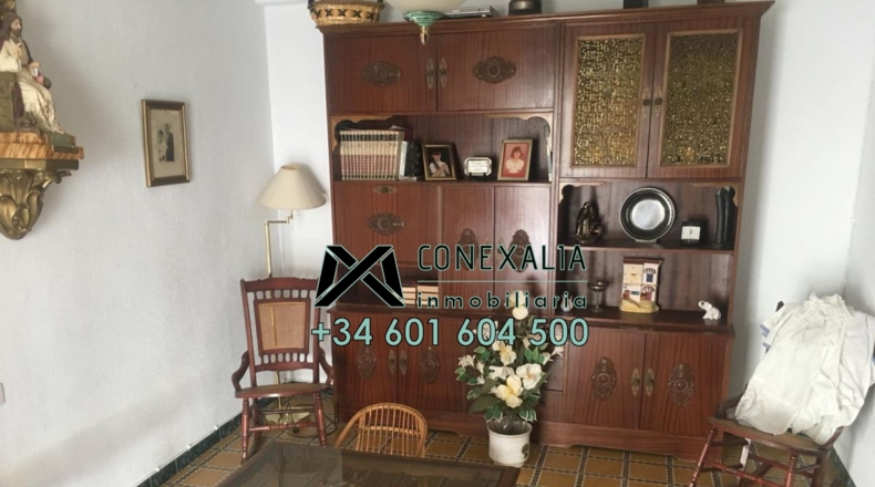 Cádiz - Torre Alháquime - 300m2