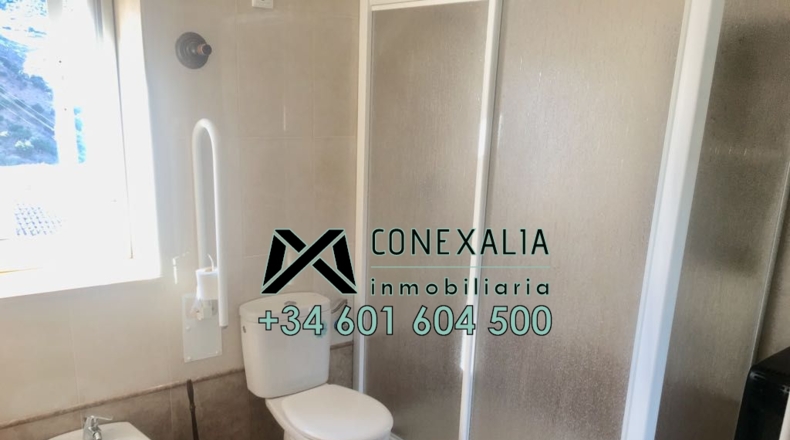 Cádiz - Torre Alháquime - 300m2