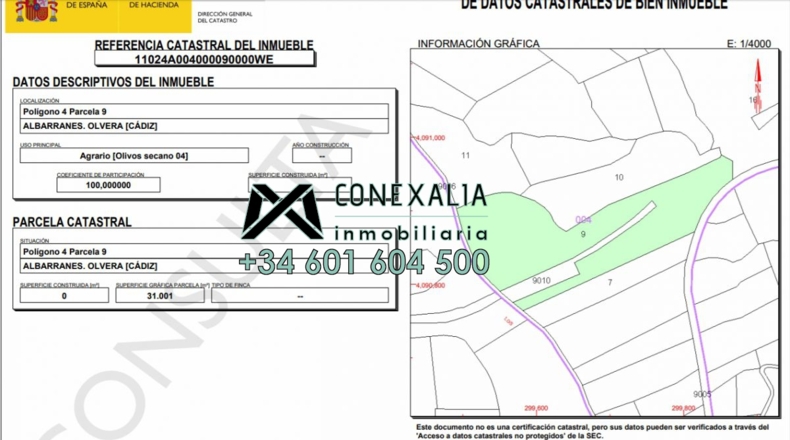 Cádiz - Olvera - 38454m2