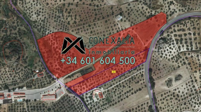 Cádiz - Olvera - 38454m2