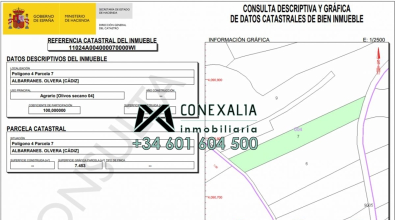 Cádiz - Olvera - 38454m2