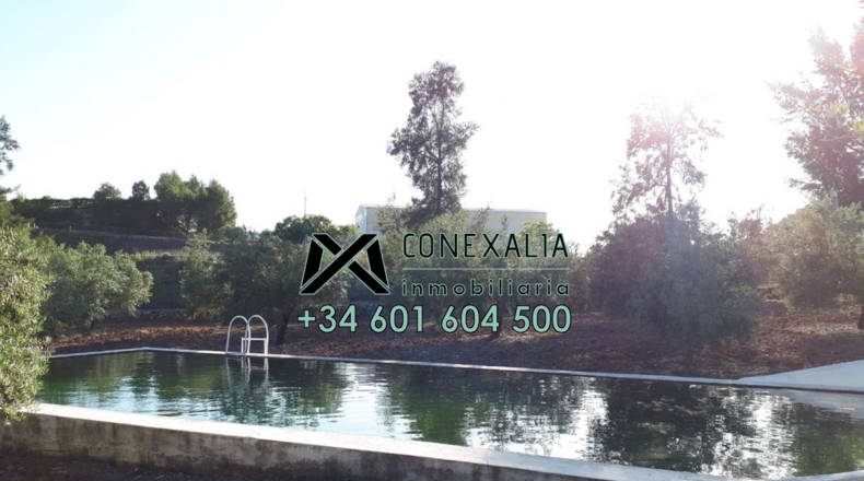 Cádiz - Algodonales - 84097m2