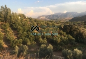 Xalet independent amb terreny en venda a Algodonales ref.: TR16579 foto