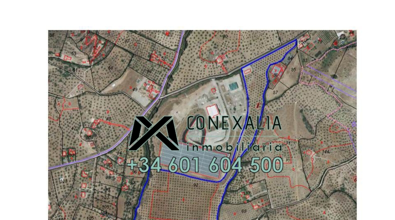 Cádiz - Algodonales - 84097m2