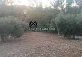 Xalet independent amb terreny en venda a Algodonales ref.: TR16579 foto