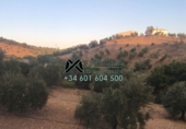 Xalet independent amb terreny en venda a Algodonales ref.: TR16579 foto