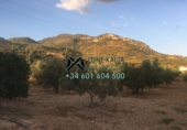 Xalet independent amb terreny en venda a Algodonales ref.: TR16579 foto