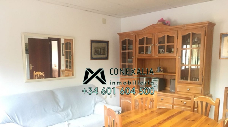Cádiz - Algodonales - 84097m2