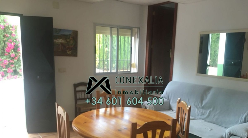 Cádiz - Algodonales - 84097m2