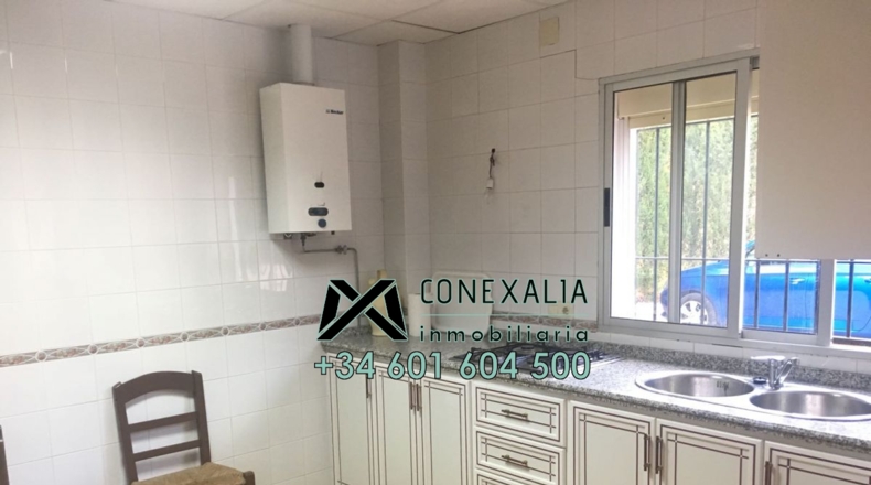 Cádiz - Algodonales - 84097m2