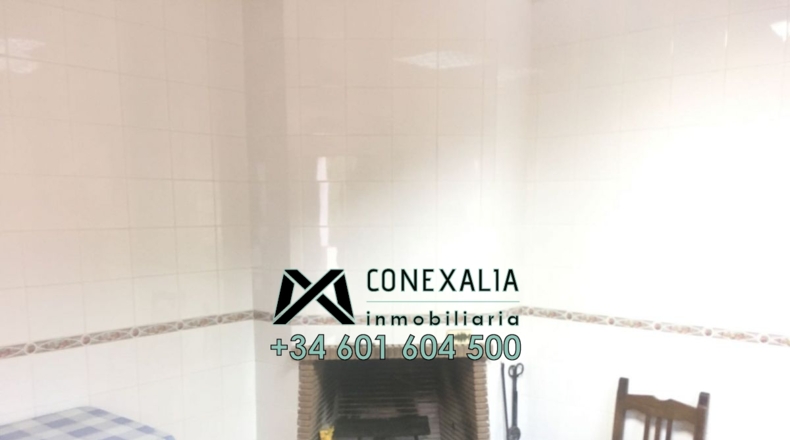 Cádiz - Algodonales - 84097m2