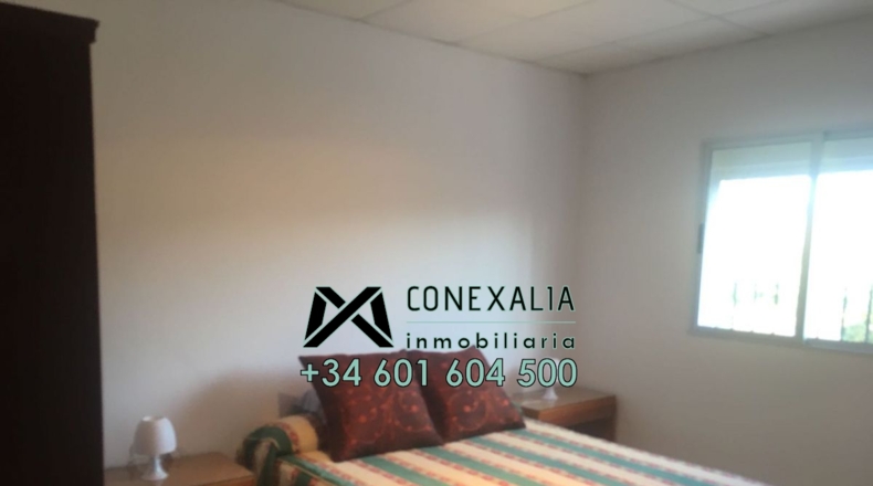 Cádiz - Algodonales - 84097m2