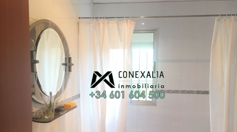 Cádiz - Algodonales - 84097m2