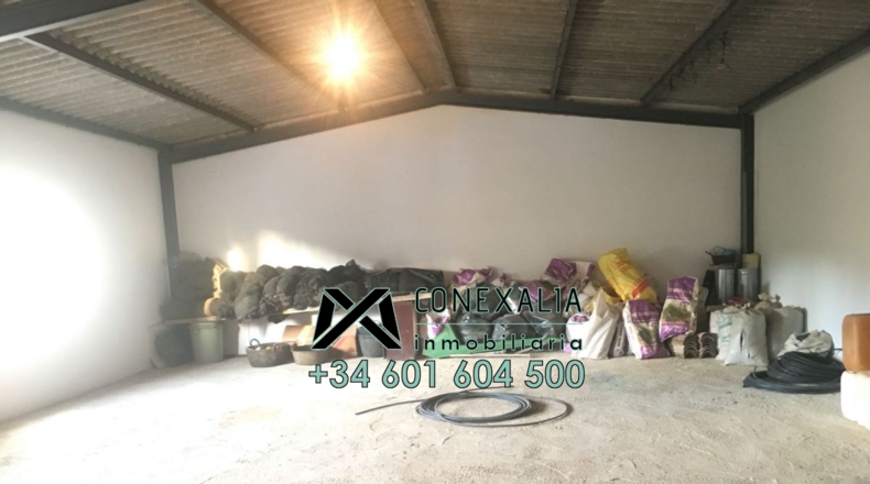 Cádiz - Algodonales - 84097m2