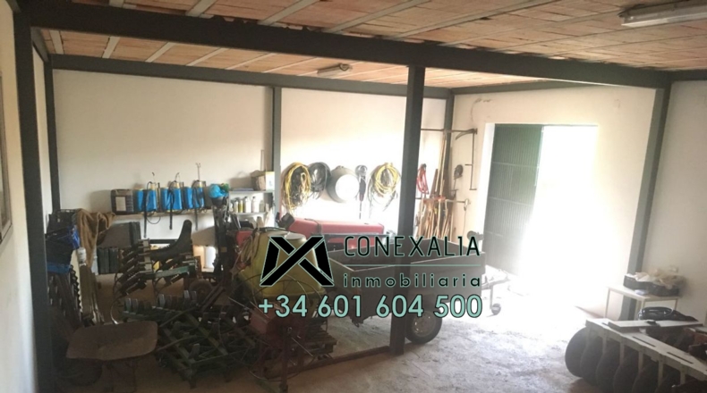 Cádiz - Algodonales - 84097m2