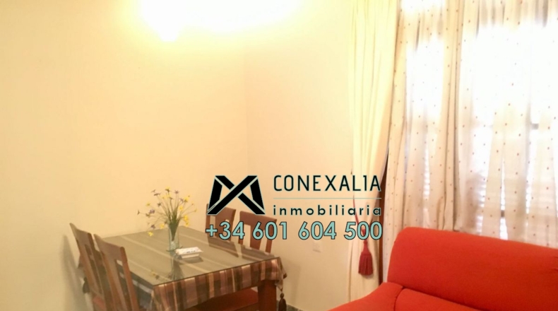 Cádiz - Olvera - 384m2
