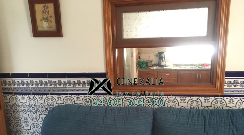 Cádiz - Olvera - 384m2