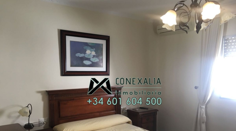Cádiz - Olvera - 384m2