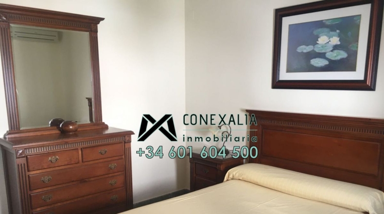 Cádiz - Olvera - 384m2