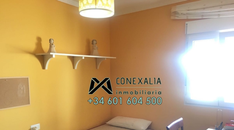 Cádiz - Olvera - 384m2