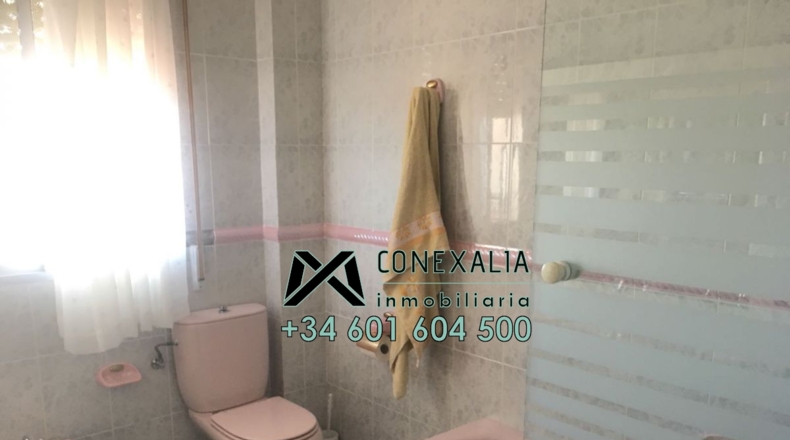 Cádiz - Olvera - 384m2