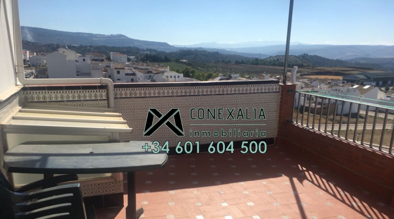 Cádiz - Olvera - 384m2