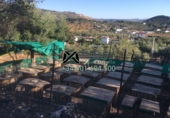 Detached villa with land for sale in Olvera ref: TR36034 photo