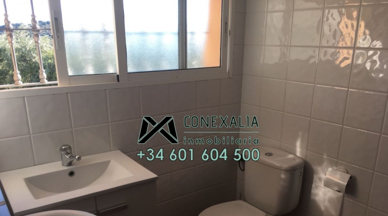 Cádiz - Olvera - 25118m2
