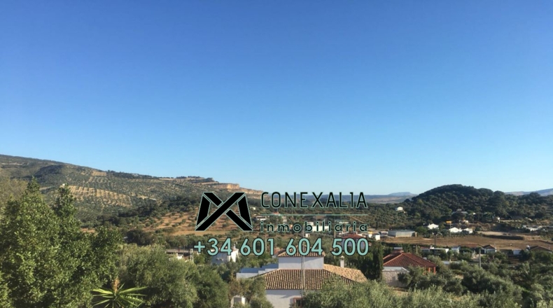 Cádiz - Olvera - 25118m2