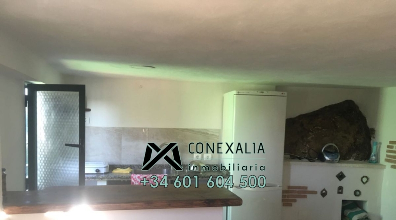 Cádiz - Olvera - 25118m2