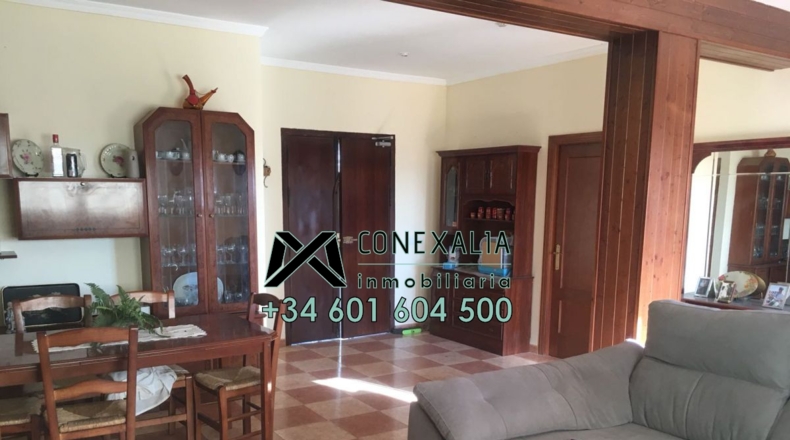 Cádiz - Olvera - 25118m2