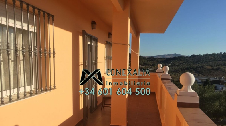 Cádiz - Olvera - 25118m2