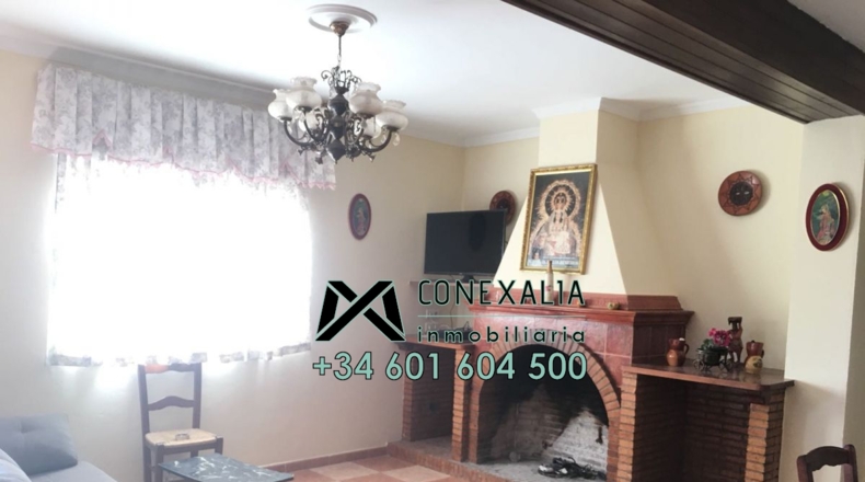 Cádiz - Olvera - 25118m2