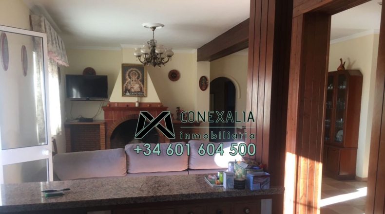 Cádiz - Olvera - 25118m2