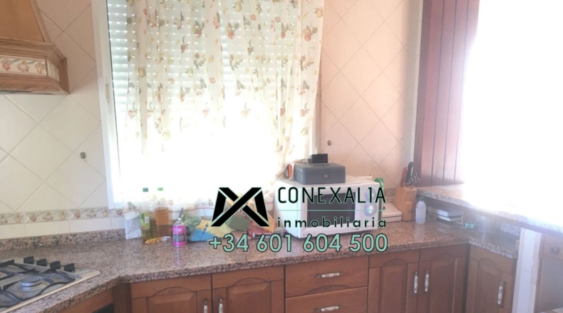 Cádiz - Olvera - 25118m2