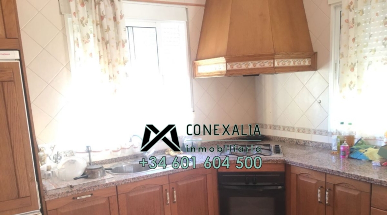 Cádiz - Olvera - 25118m2