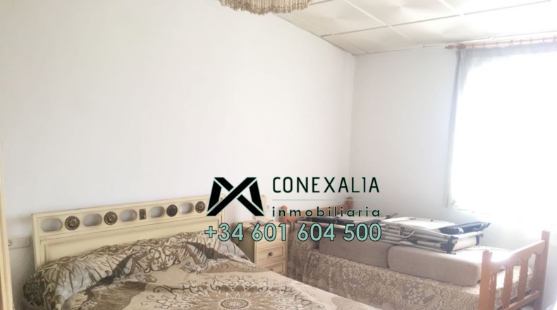 Cádiz - Olvera - 25118m2