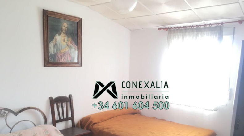 Cádiz - Olvera - 25118m2