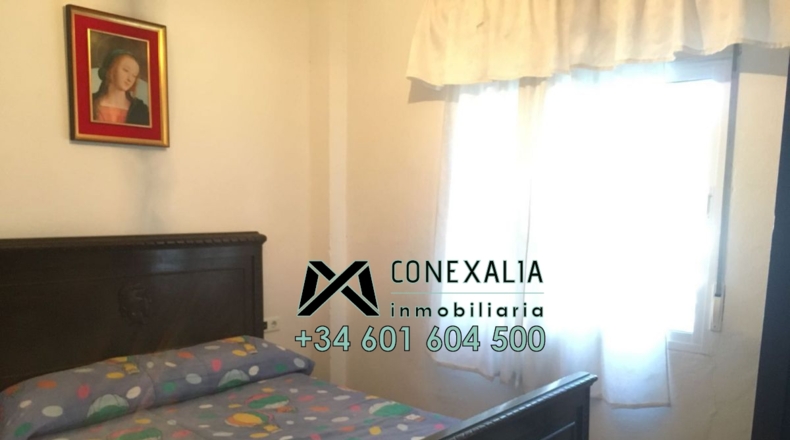 Cádiz - Olvera - 25118m2