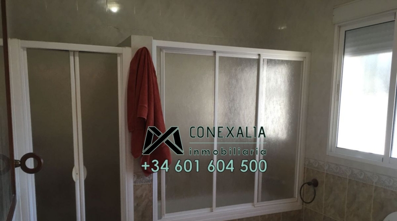 Cádiz - Olvera - 25118m2