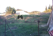 Parcel·la urbanitzable en venda a la España, Torre Alháquime, ref.: TR34327 foto