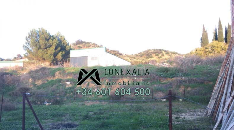 Cádiz - Torre Alháquime - 200m2