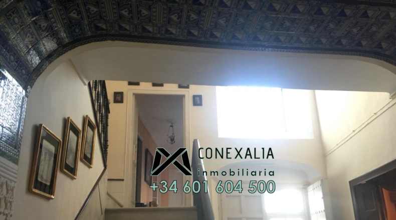 Cádiz - Olvera - 517m2
