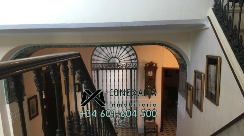 Cádiz - Olvera - 517m2