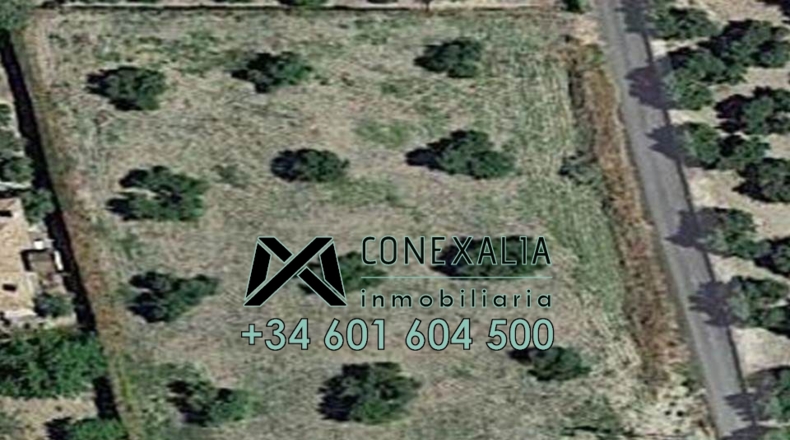 Cádiz - Olvera - 4459m2
