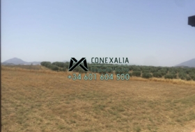 Olvera 201&nbsp;m² 