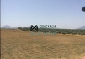 Village house for sale in Olvera ref: TR39965 photo