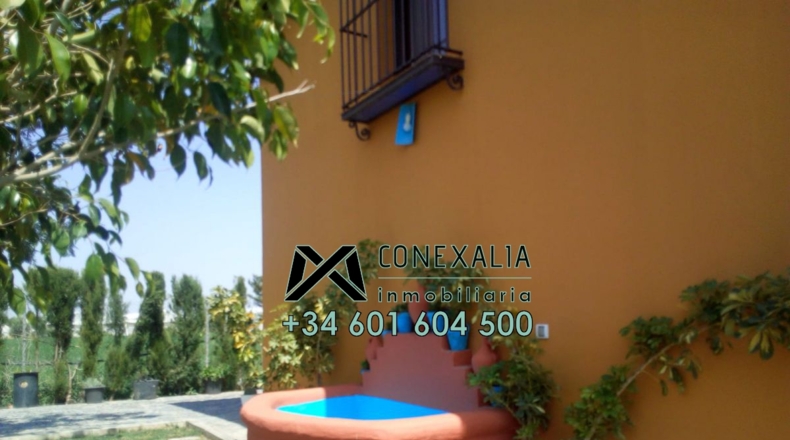 Sevilla - Los Palacios y Villafranca - 4000m2